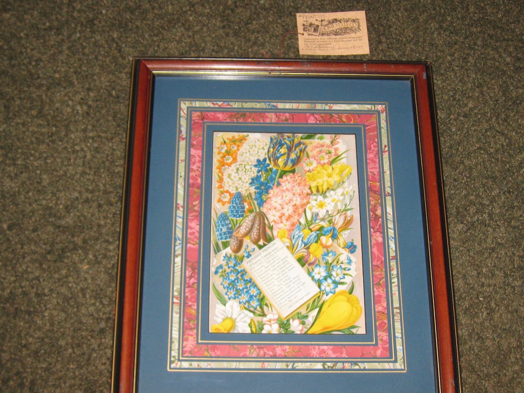 1890 ANTIQUE SEED CATALOGUE Print Mayflower Premium Encadré Par