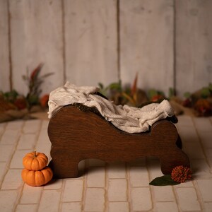 Fall Newborn Digital Backdrop