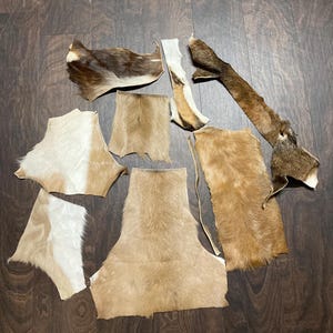 Antelope and Miscellaneous Remnants / Scraps for crafts, fly tying, brushes, jewelry, etc.    #893-G