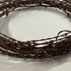 May include: Coiled roll of rusty brown barbed wire. The wire is tightly wound, forming a circular shape. The barbs are sharp and evenly spaced along the wire. The overall appearance suggests a vintage or rustic aesthetic.