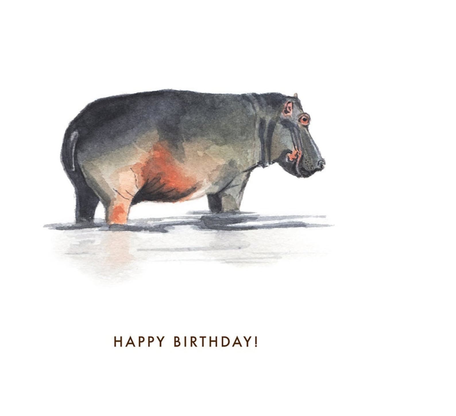 Hippopotamus Happy Birthday - Etsy