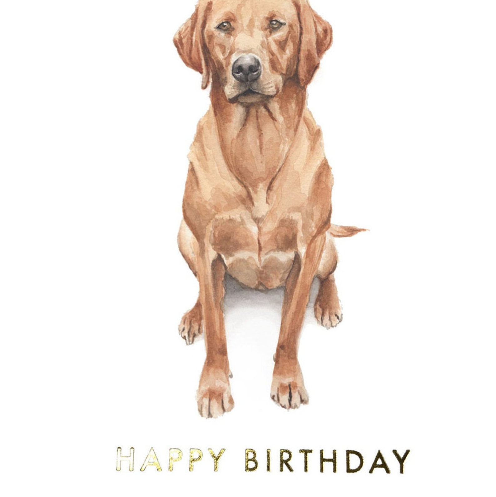 Labrador ‘happy Birthday’ Greeting Card - Etsy