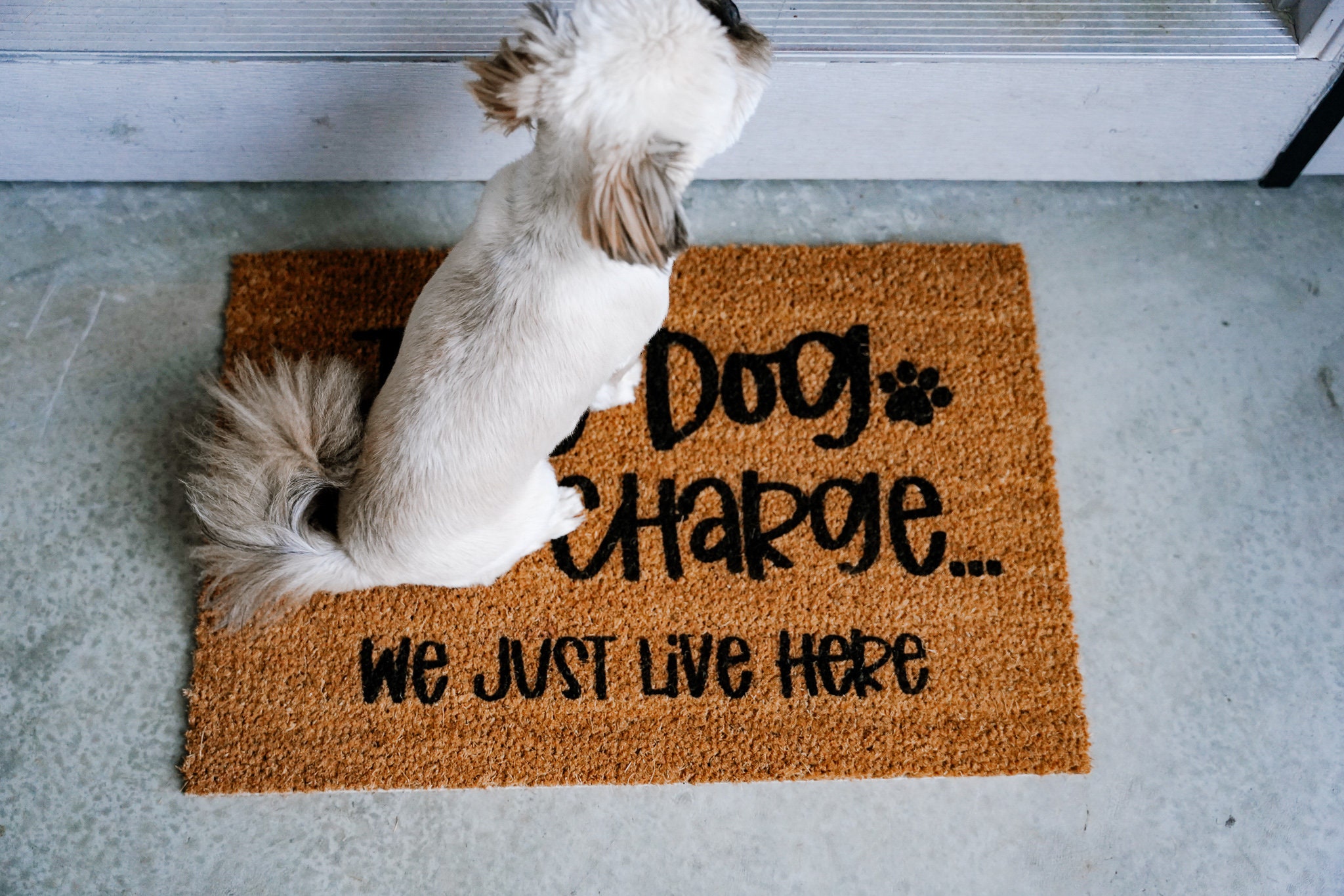  Welcome to Our Home - Tapete para puerta trasera para entrada  al aire libre, imagen y nombre de perro, tapete de fibra de coco para  entrada, alfombra de porche delantero, alfombra