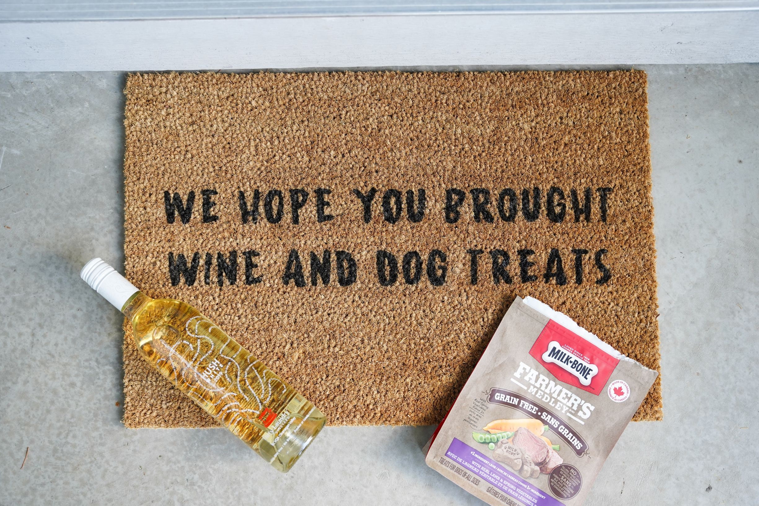 Nous Espérons Que Vous Avez Apporté Du Vin et Des Friandises Pour Chiens Tapis de Porte Bienvenue