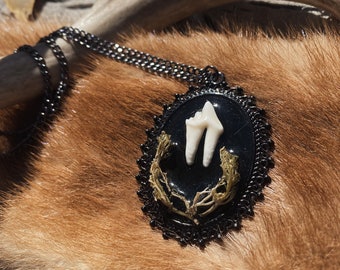 Colgante de curiosidad molar de coyote ~ Joyería de hueso Shadowbox ~ Colgante de resina con diente de animal