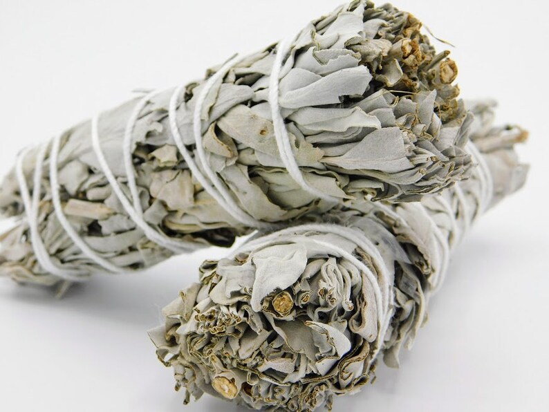 California White Sage 4.5 Inches,