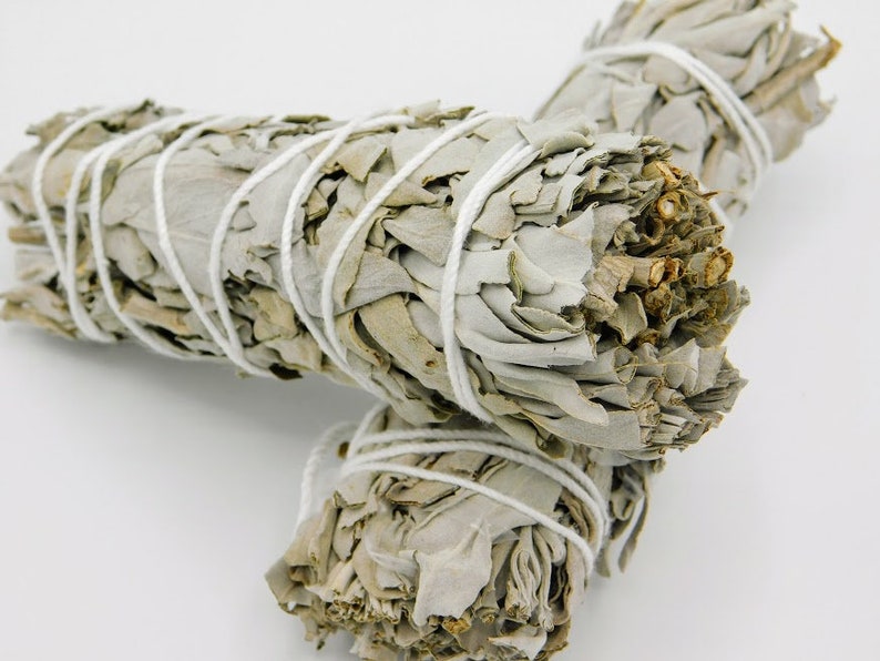 California White Sage 4.5 Inches,
