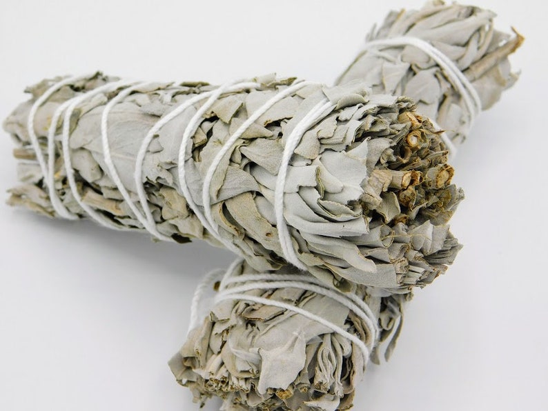 California White Sage 4.5 Inches,