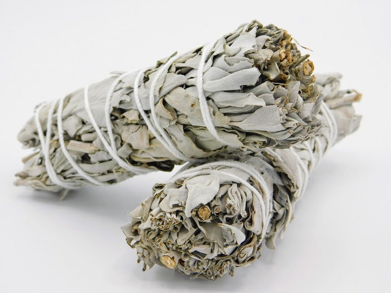 California White Sage 4.5 Inches,