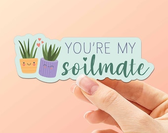 You're My Soilmate Plant Sticker, Aloe Vera Indoor Gardening, Funny Houseplant Waterproof Vinyl Decal, Cute Succulent Gift for Plant Moms