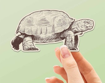 Desert Tortoise Sticker for Hydroflask - Cute Southwest Animal Decals for Laptop - Arizona & California Wildlife Souvenirs