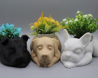 Sleepy Puppy Succulent Planter: Frency, Bully, Lab