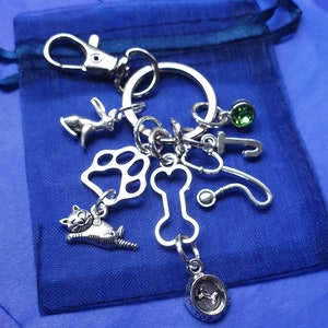 May include: A silver charm keychain with a variety of charms, including a paw print, a bone, a cat, a rabbit, a stethoscope, a green gem, and a round charm with a bone inside and the text "Top Dog".