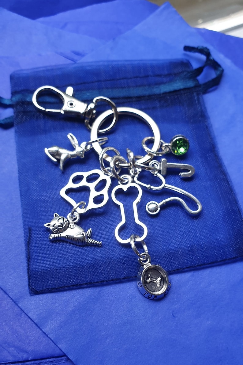 May include: A silver charm keychain with a variety of charms, including a paw print, a bone, a cat, a rabbit, a stethoscope, a green gem, and a round charm with a bone inside and the text "Top Dog".