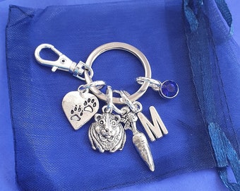 Guineapig keyring with initial birthstone personalised gifts 2023 silver birthday gift Guinea pig