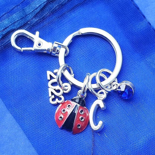 Ladybird keyring with initial birthstone 2022 personalised gifts silver birthday gift keyring