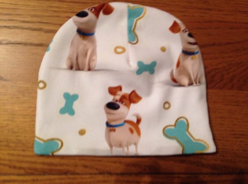 Secret Life Of Pets Baby hat