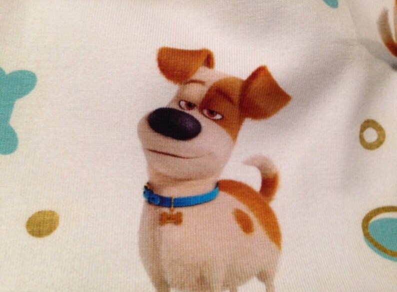 Secret Life Of Pets Baby hat