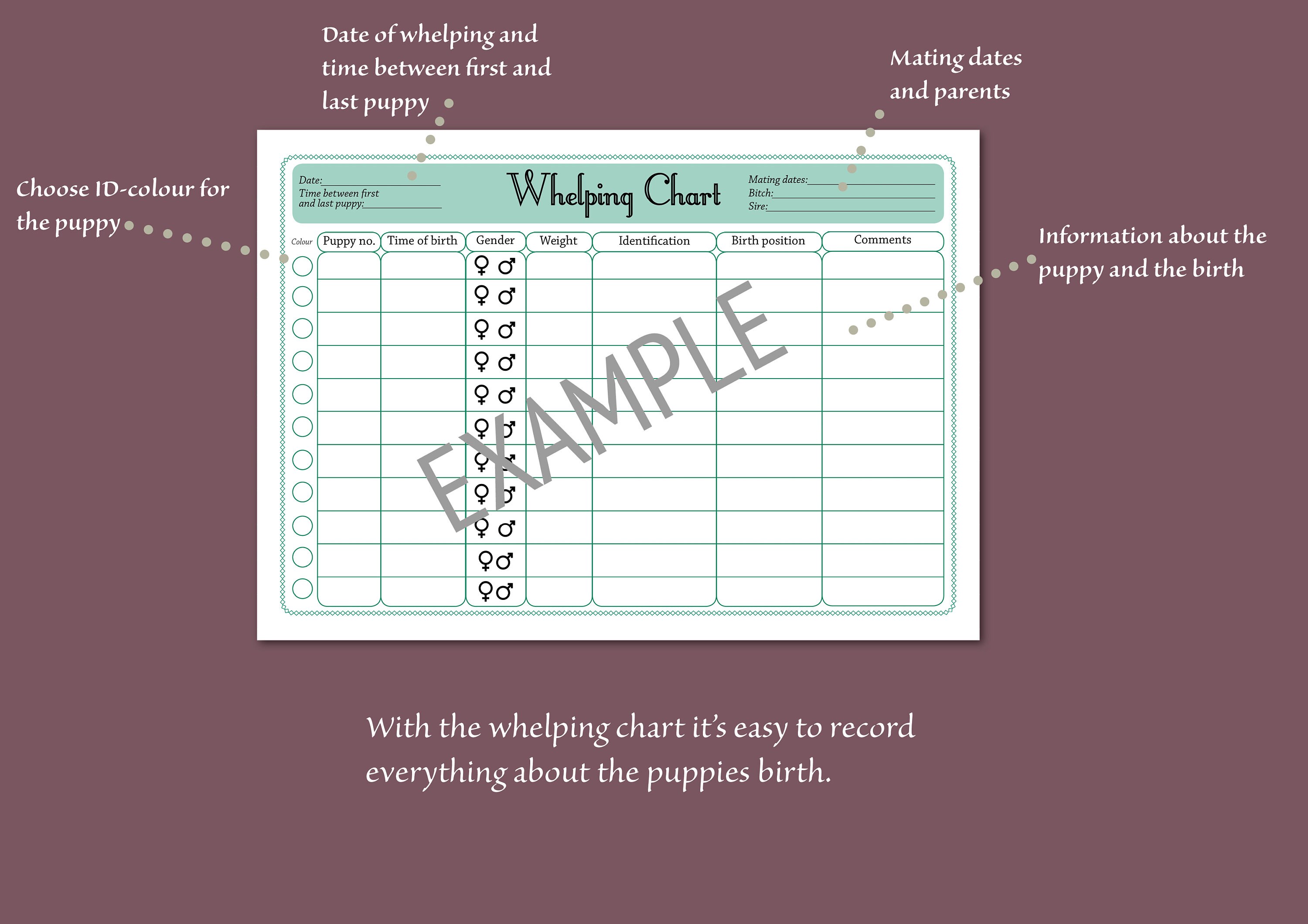 Downloadable Dog Breeder Charts Record Your Litter the - Etsy Australia