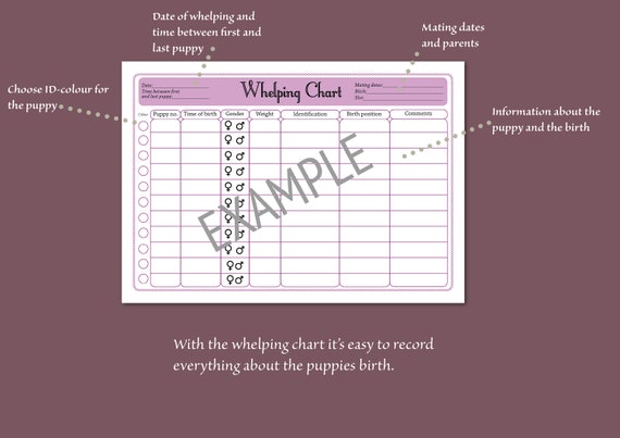 Dog Whelping Chart