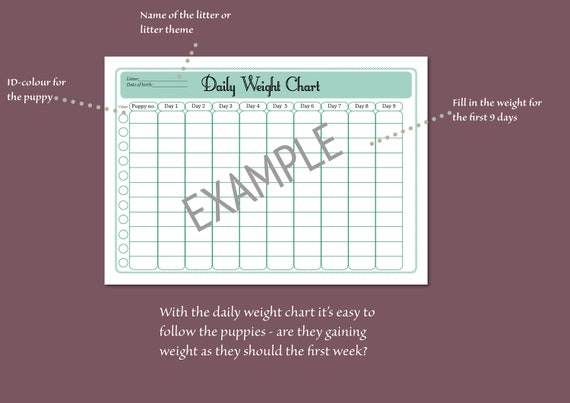 Puppy Record Chart
