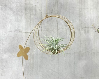 Air Plant Hanger, Kinetic mobile, Hanging mobile, Tillandsia Plants, mobile for air plant