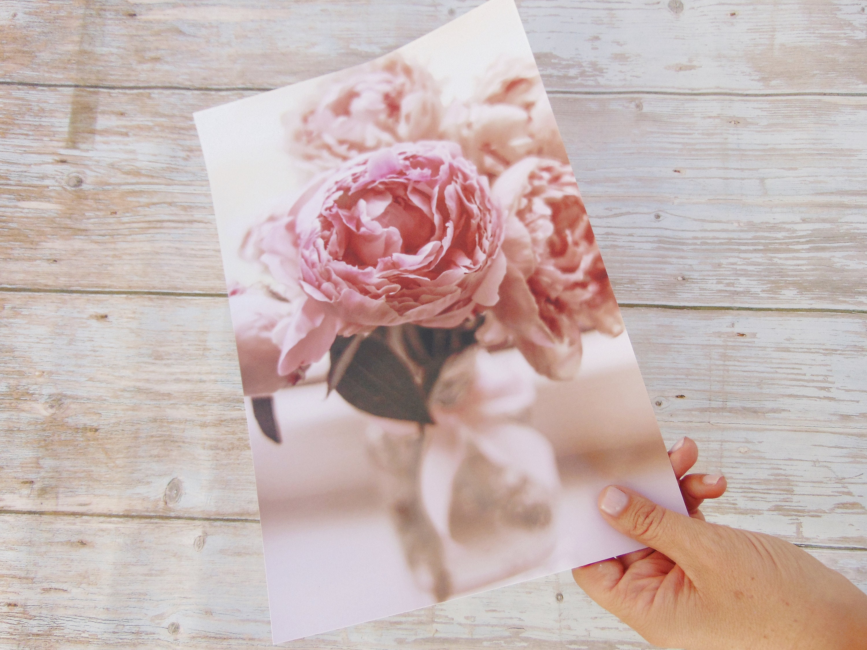 Peony Print Peony Wall Art Flower Photography Blush Pink - Etsy
