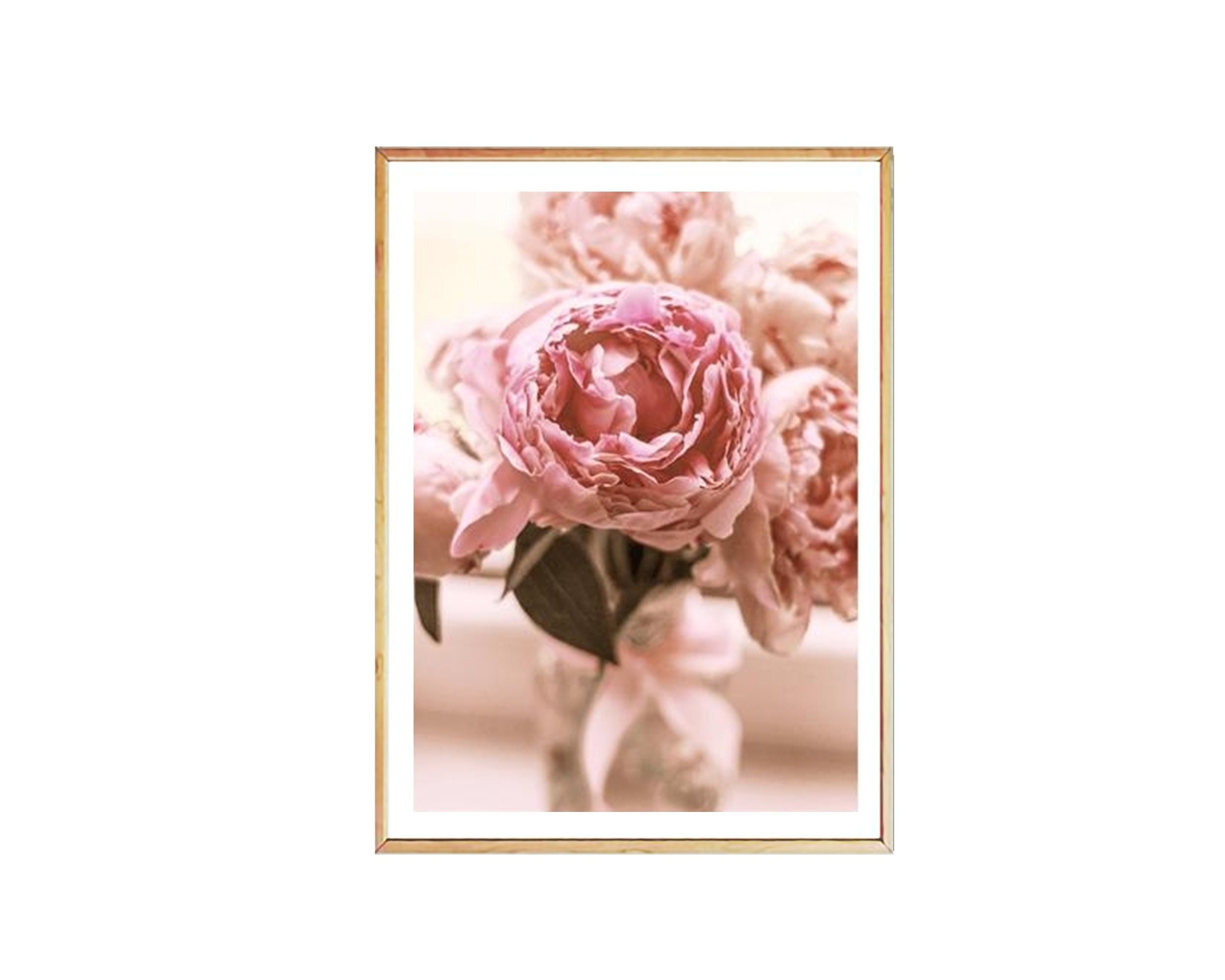 Peony Print Peony Wall Art Flower Photography Blush Pink - Etsy