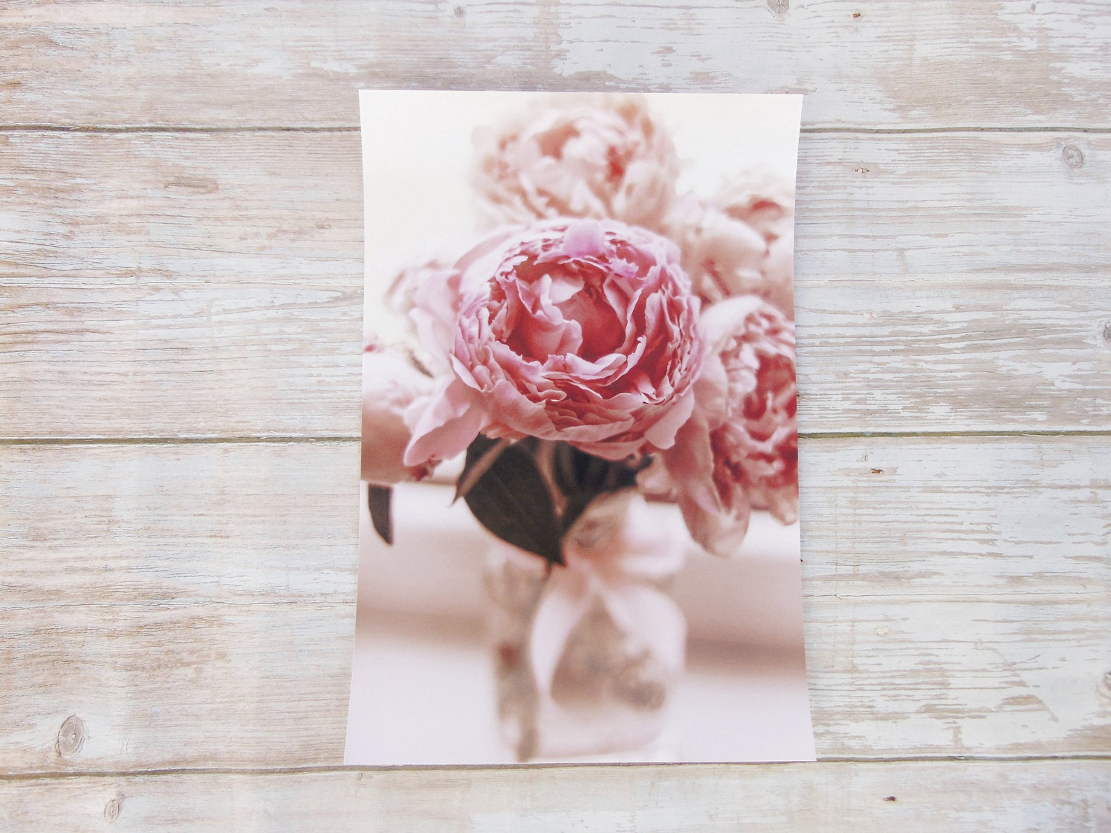Peony Print Peony Wall Art Flower Photography Blush Pink - Etsy
