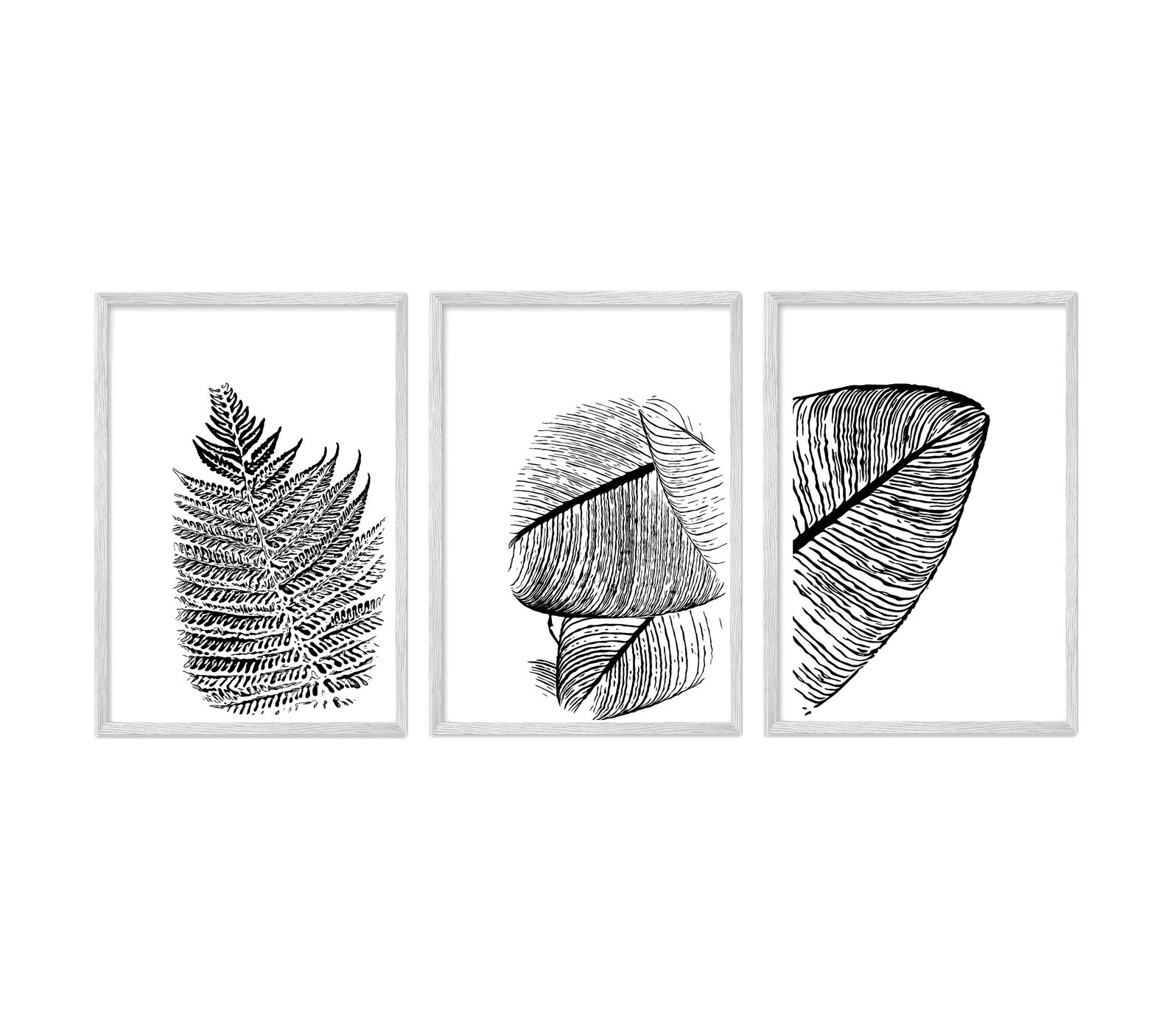 Black and White Art Print Set of 3 Botanical Prints Above Bed Art Set