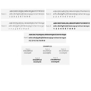 May include: A graphic showing five different fonts with uppercase and lowercase letters, numbers, and examples of how the fonts look in the word "EXAMPLE".