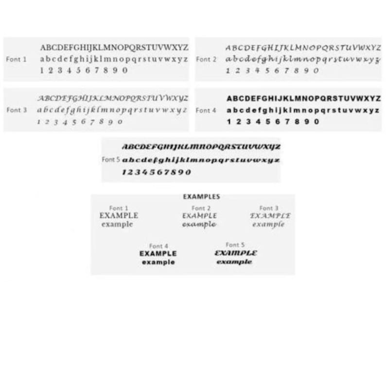 May include: A graphic showing five different fonts with uppercase and lowercase letters, numbers, and examples of how the fonts look in the word "EXAMPLE".