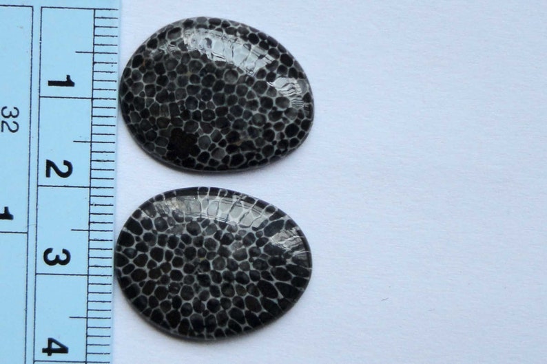 Black Fossil Coral Gemstone Organic Designer Cabochon Matching Earring Pair Jewelry Making Handmade Cheap Supply # 17454