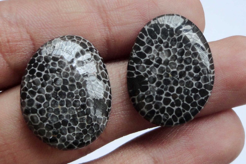 Black Fossil Coral Gemstone Organic Designer Cabochon Matching Earring Pair Jewelry Making Handmade Cheap Supply # 17454