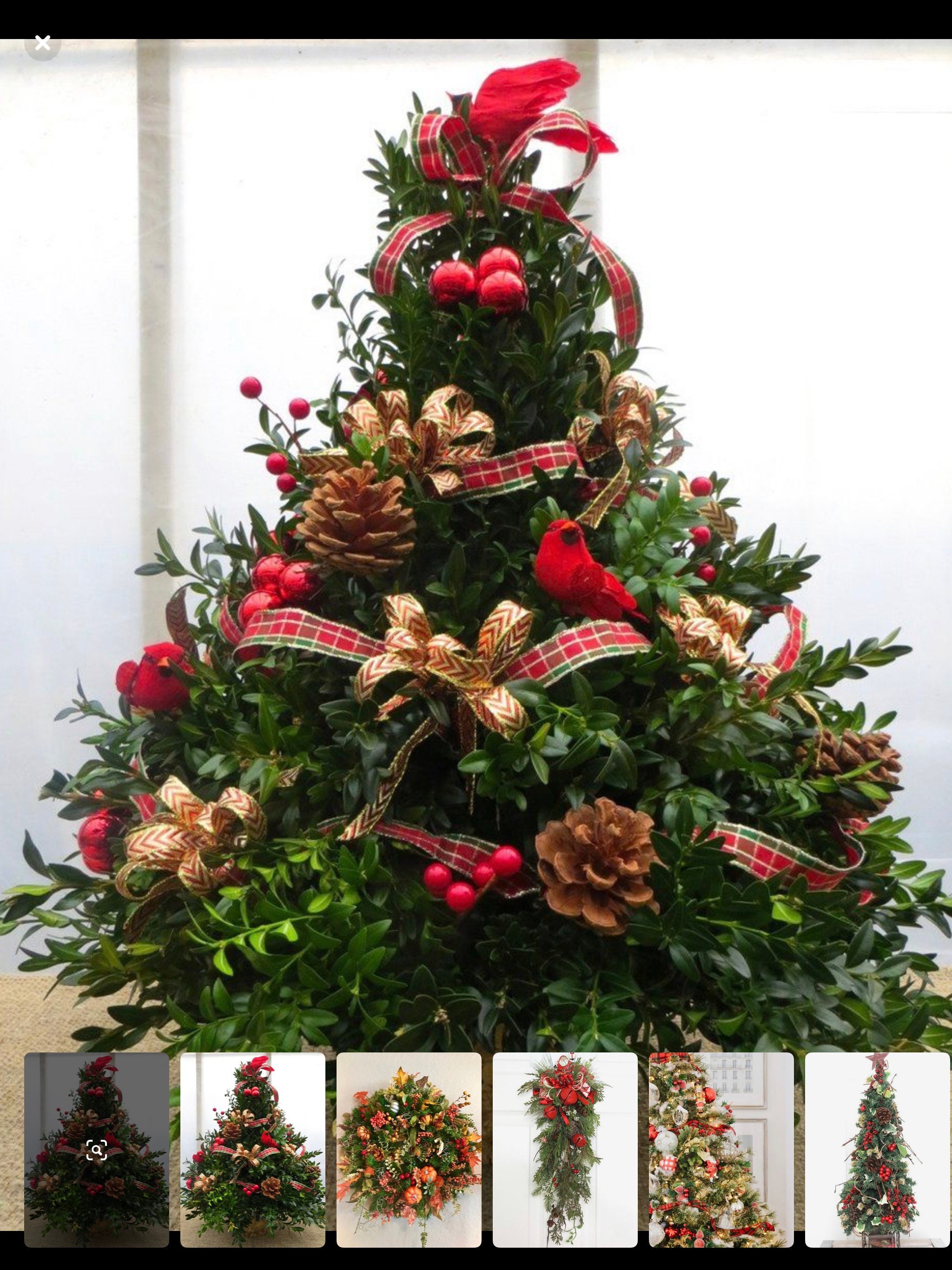 Fresh Boxwood Fresh Wedding Greenery Boxwood by the Pound - Etsy