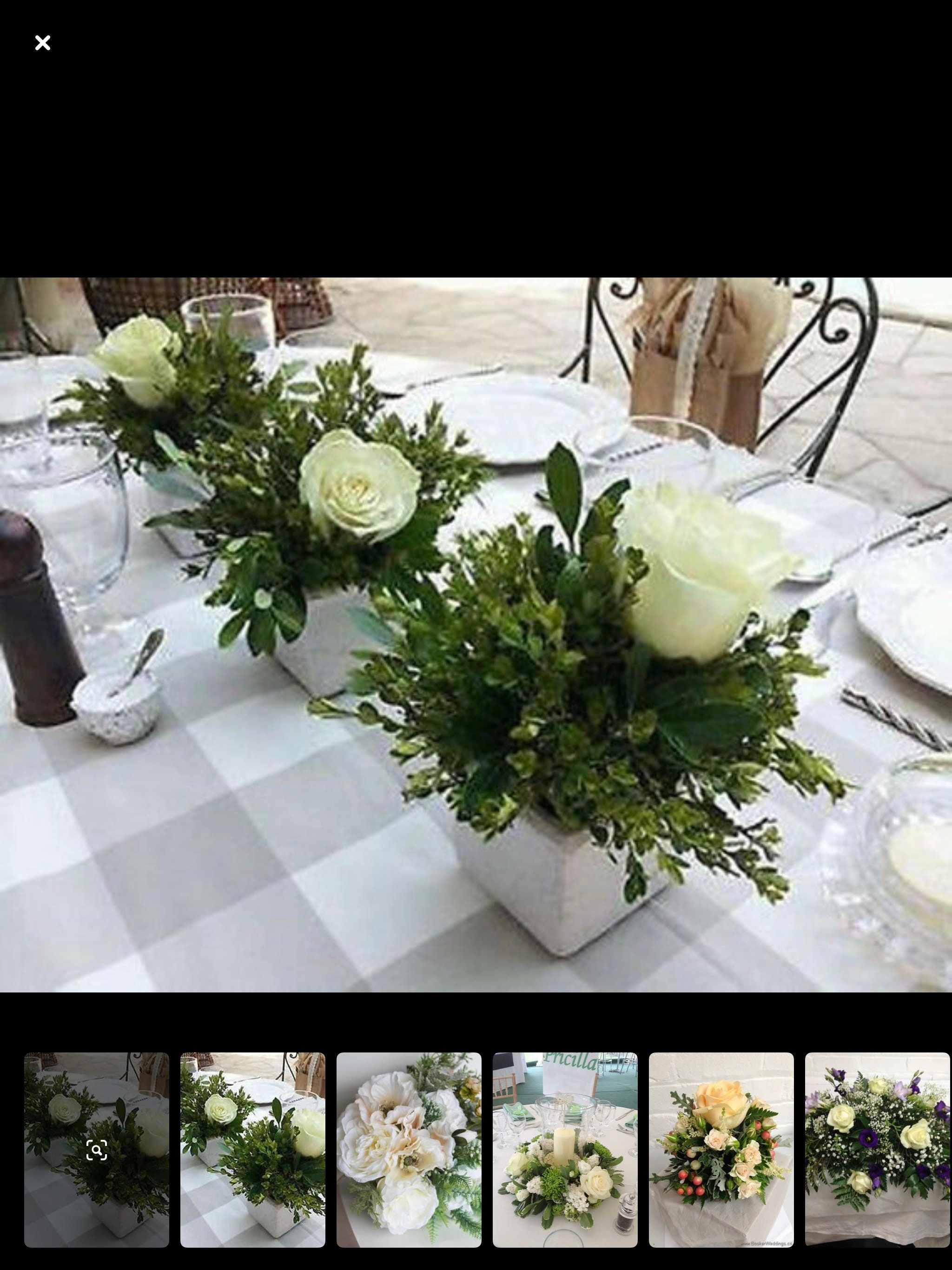 Fresh Boxwood Fresh Wedding Greenery Boxwood by the Pound - Etsy
