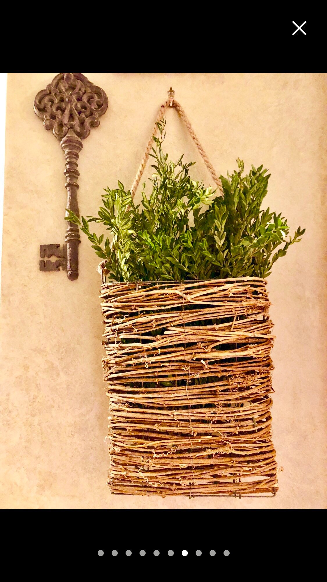 Fresh Boxwood Fresh Wedding Greenery Boxwood by the Pound - Etsy
