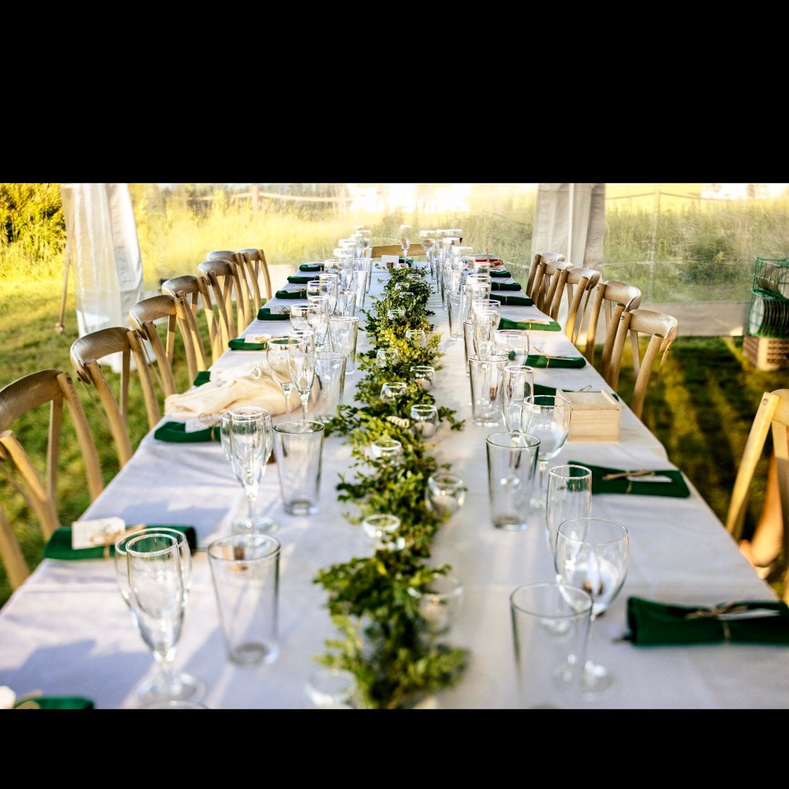 Fresh Boxwood Fresh Wedding Greenery Boxwood by the Pound - Etsy