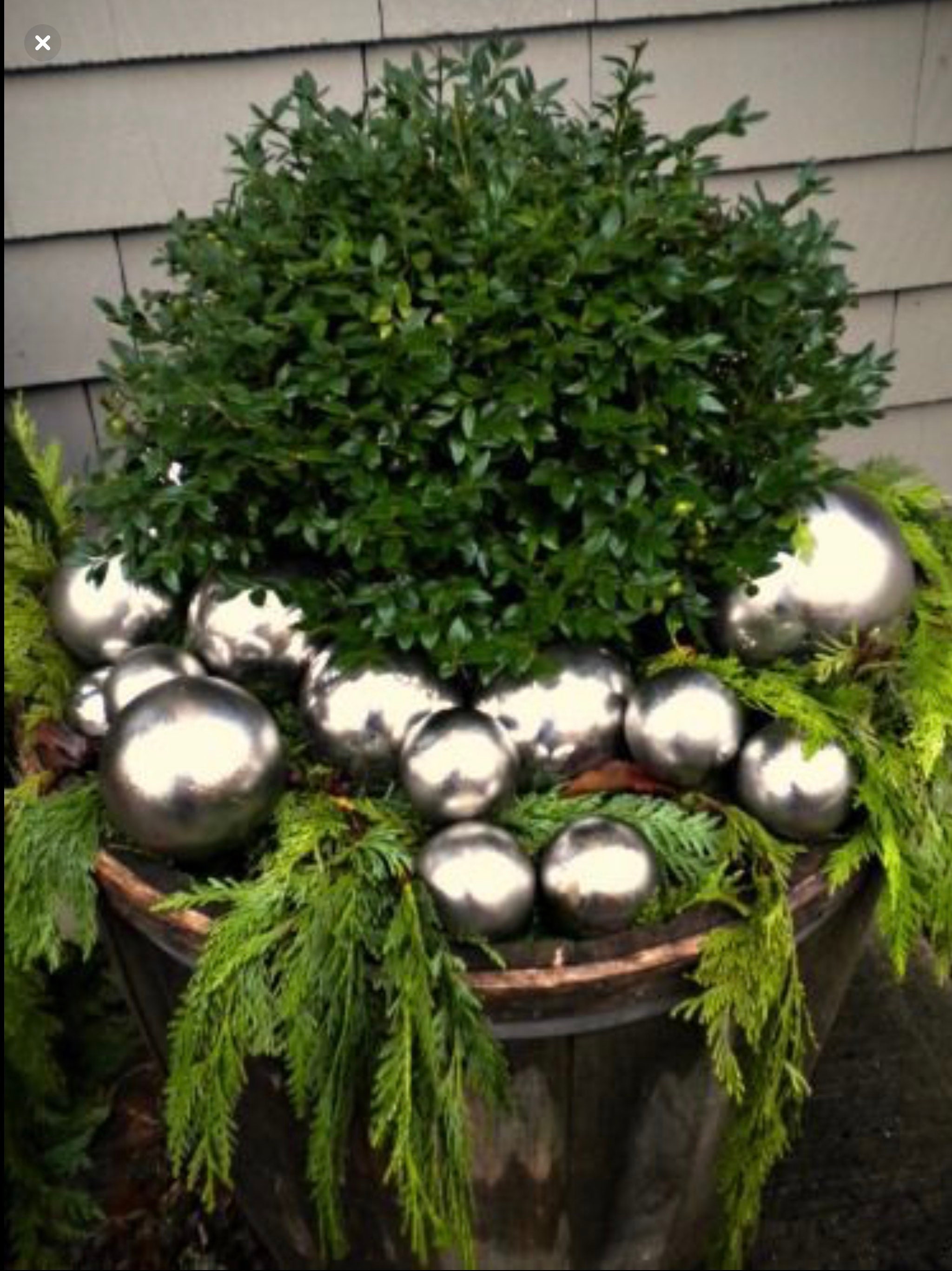 Fresh Boxwood Fresh Wedding Greenery Boxwood by the Pound - Etsy