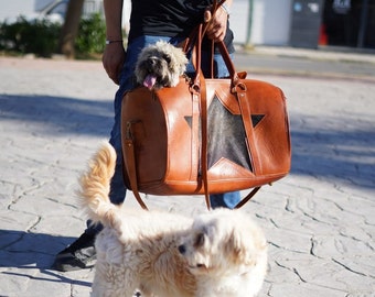 buy dog carrier