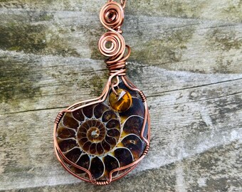 May include: A copper wire wrapped pendant featuring a fossilized ammonite with a spiral pattern. The pendant is attached to a copper chain.