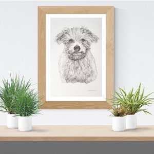 Custom Pet Portrait: Hand-Drawn Pencil Art (A4/A3)