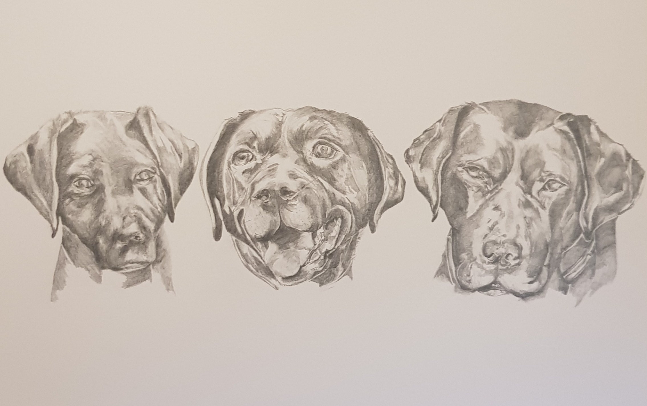 My art supplies – I Sketch Pets