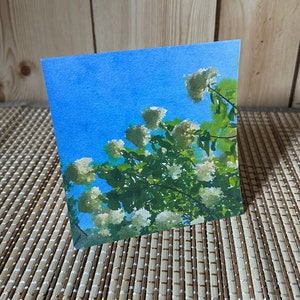 Reaching for the Sky - Carte de voeux vierge 5 x 5 - Enveloppe incluse - Papier cartonné de qualité - Archives - Une petite oeuvre d'art pour vous