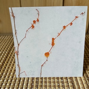Vignes d'automne sur le mur - Carte de voeux vierge de 5 x 5 - Enveloppe incluse - Papier cartonné de qualité - Archives - Une petite oeuvre d'art pour vous