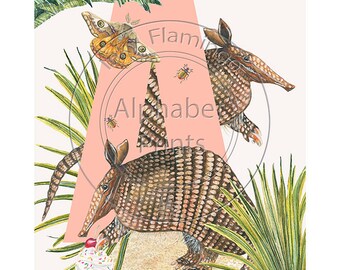 Childrens bedroom and nursery animal poster print- A is for Armadillo, original design hand painted with watercolors and signed by Lisa Read