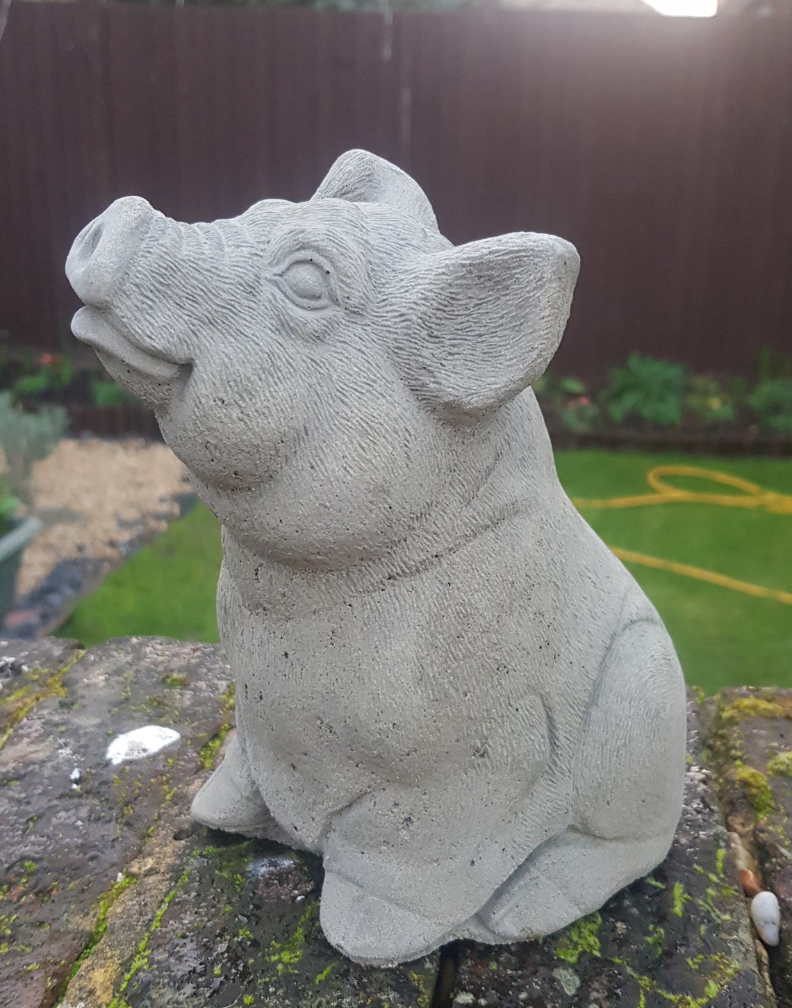 Sitting pig concrete garden ornament Etsy
