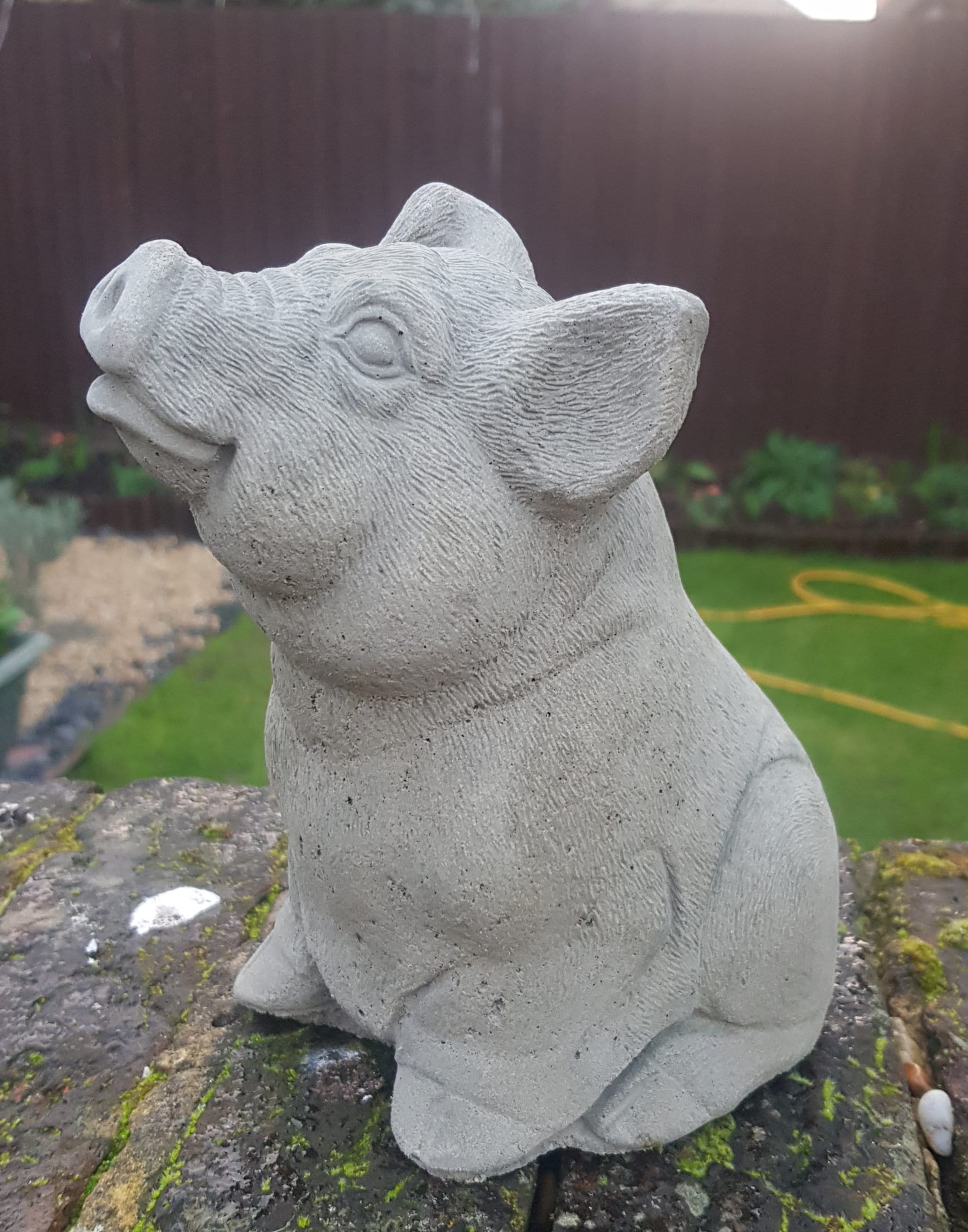Sitting pig concrete garden ornament Etsy