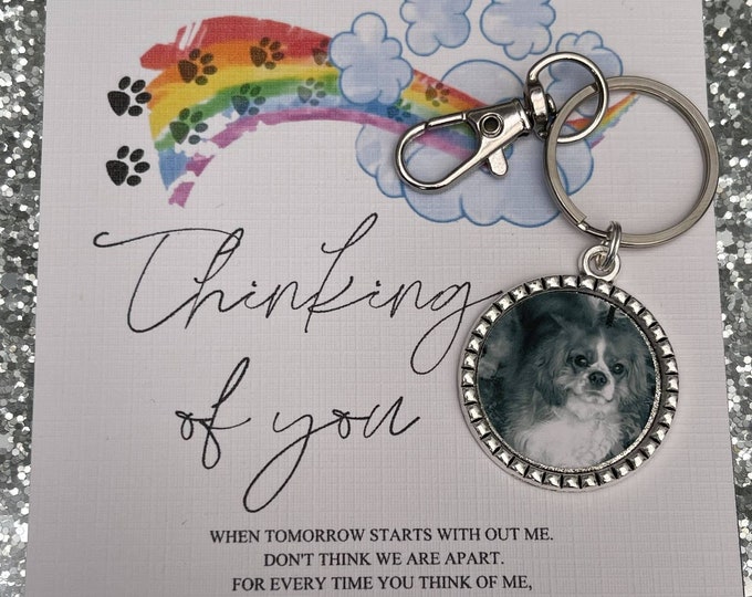 Pet Loss Memory Keyring/Dog/Cat/Animal/Key Chain/Sentimental Card/Thinking Of You/Sorry For Your Loss/Memorial/Hug Token/Photo/Personalised