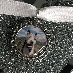 Minneskort med foto för husdjur, hänge/berlock/smycken/bukettberlock/hund/katt/djur/personlig/brosch/minnessak/kremering